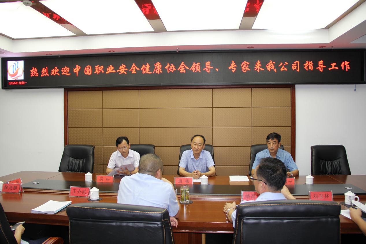 中国职业安全健康协会领导、专家来我公司考察指导工作