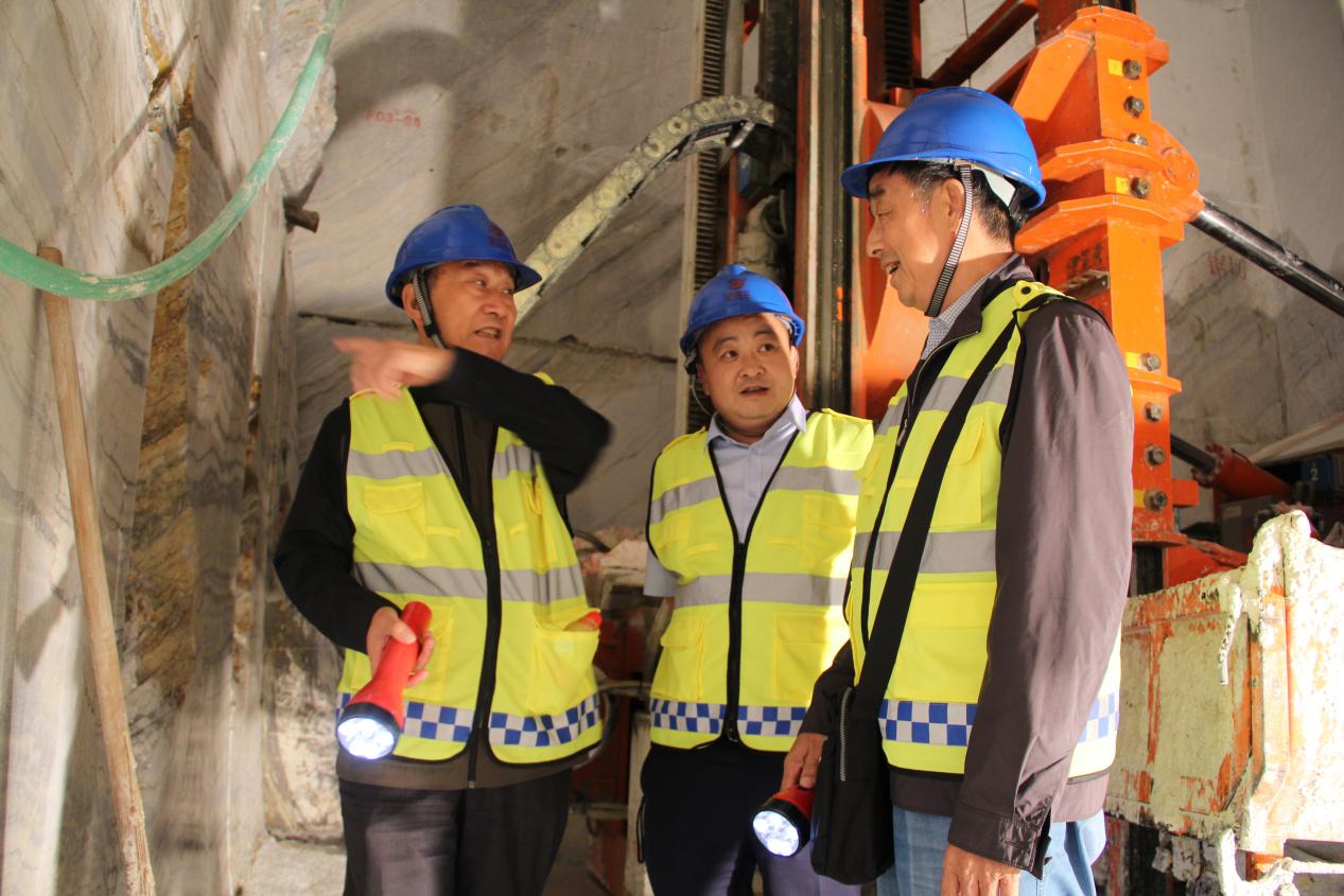 中国职业安全健康协会领导、专家来我公司考察指导工作
