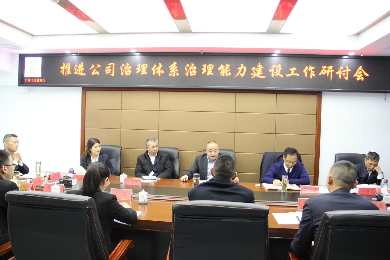 加强公司治理体系治理能力建设研讨会隆重召开