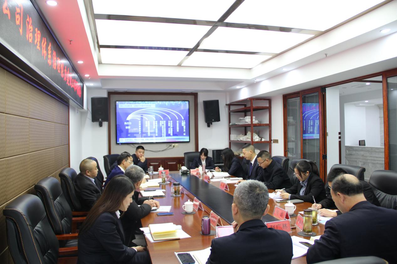 加强公司治理体系治理能力建设研讨会隆重召开
